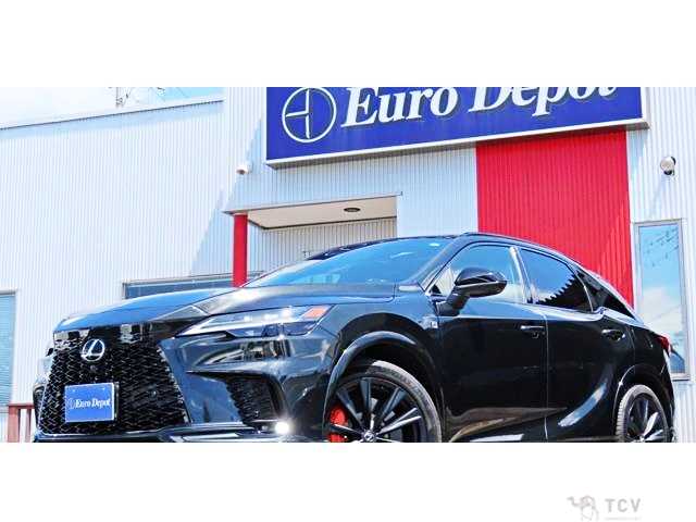 2025 Lexus RX