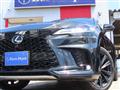 2025 Lexus RX