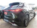 2025 Lexus RX