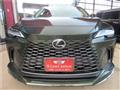 2025 Lexus RX