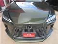 2025 Lexus RX