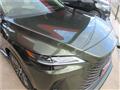 2025 Lexus RX