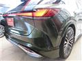 2025 Lexus RX