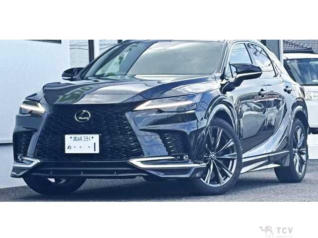 2025 Lexus RX