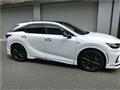 2025 Lexus RX