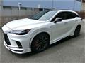 2025 Lexus RX