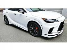 2025 Lexus RX