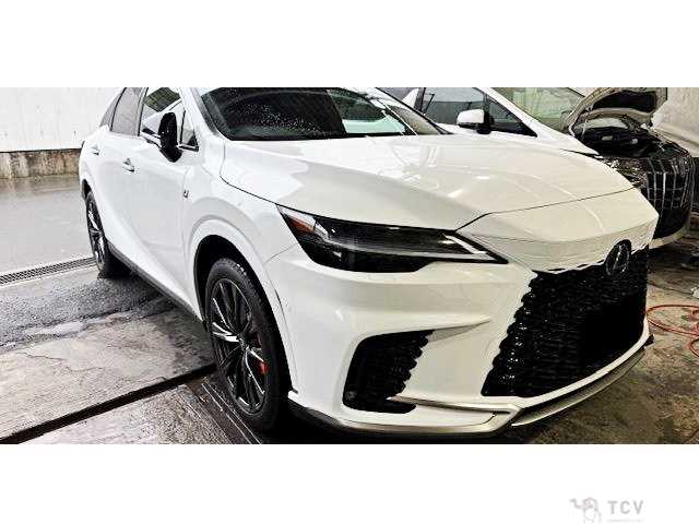 2025 Lexus RX