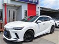 2025 Lexus RX