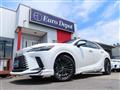 2025 Lexus RX