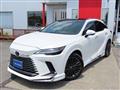 2025 Lexus RX