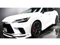 2025 Lexus RX