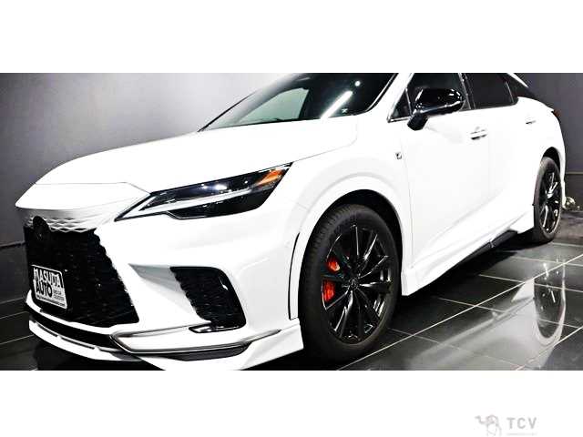 2025 Lexus RX