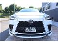 2025 Lexus RX