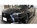 2025 Lexus RX