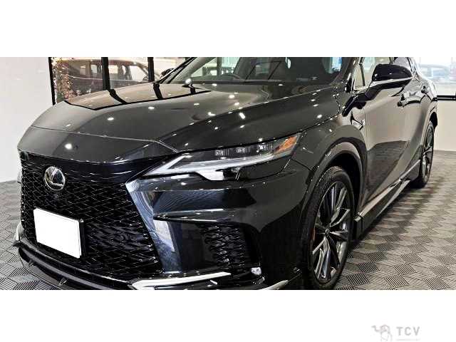 2025 Lexus RX