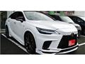 2025 Lexus RX