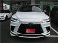2025 Lexus RX