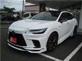 2025 Lexus RX