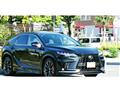 2025 Lexus RX