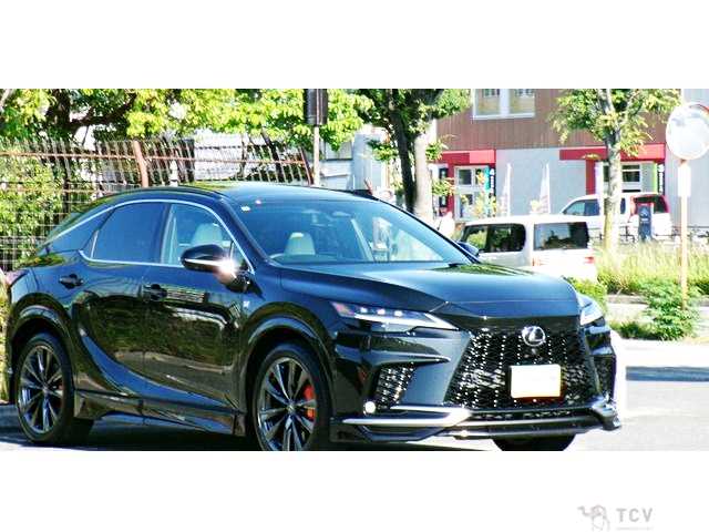 2025 Lexus RX