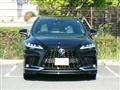 2025 Lexus RX