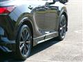 2025 Lexus RX