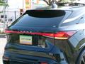 2025 Lexus RX