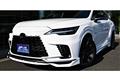 2025 Lexus RX