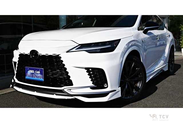 2025 Lexus RX