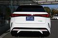 2025 Lexus RX