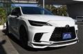 2025 Lexus RX