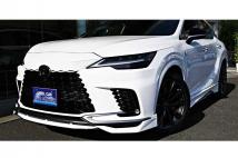 2025 Lexus RX