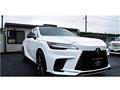 2025 Lexus RX