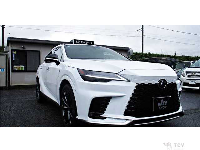 2025 Lexus RX
