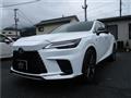 2025 Lexus RX