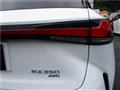 2025 Lexus RX