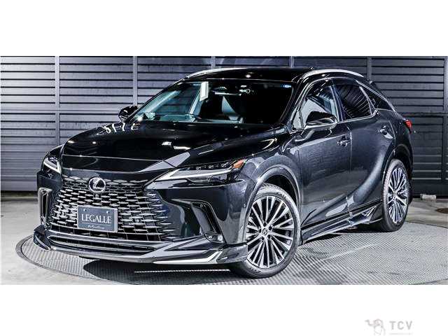2025 Lexus RX