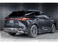 2025 Lexus RX