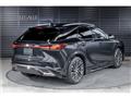 2025 Lexus RX