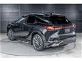 2025 Lexus RX