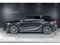 2025 Lexus RX
