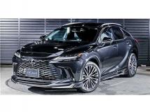 2025 Lexus RX