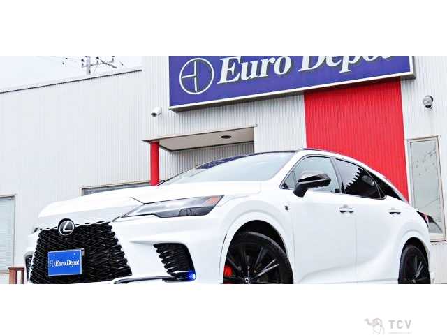 2025 Lexus RX