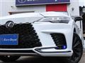 2025 Lexus RX