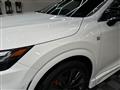 2025 Lexus RX