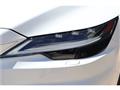 2025 Lexus RX