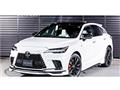2025 Lexus RX