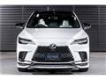2025 Lexus RX