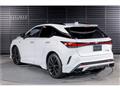 2025 Lexus RX